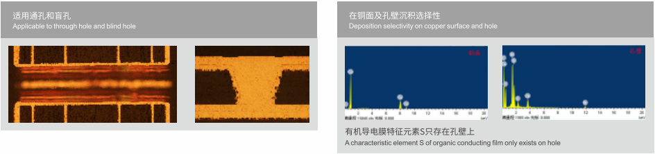 zoty��ŷ��(�й����޹�˾)�ٷ���վ