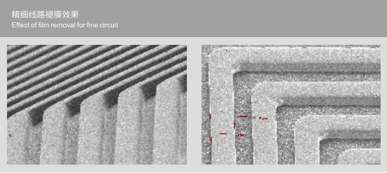 zoty��ŷ��(�й����޹�˾)�ٷ���վ